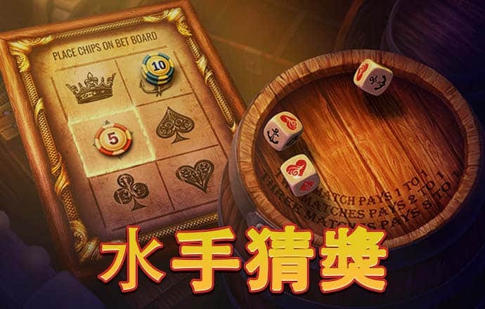 8x8小皇冠国产